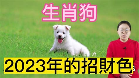 生肖狗 幸運色|【屬狗幸運色】揭秘2024年屬狗必備幸運色！衝破運。